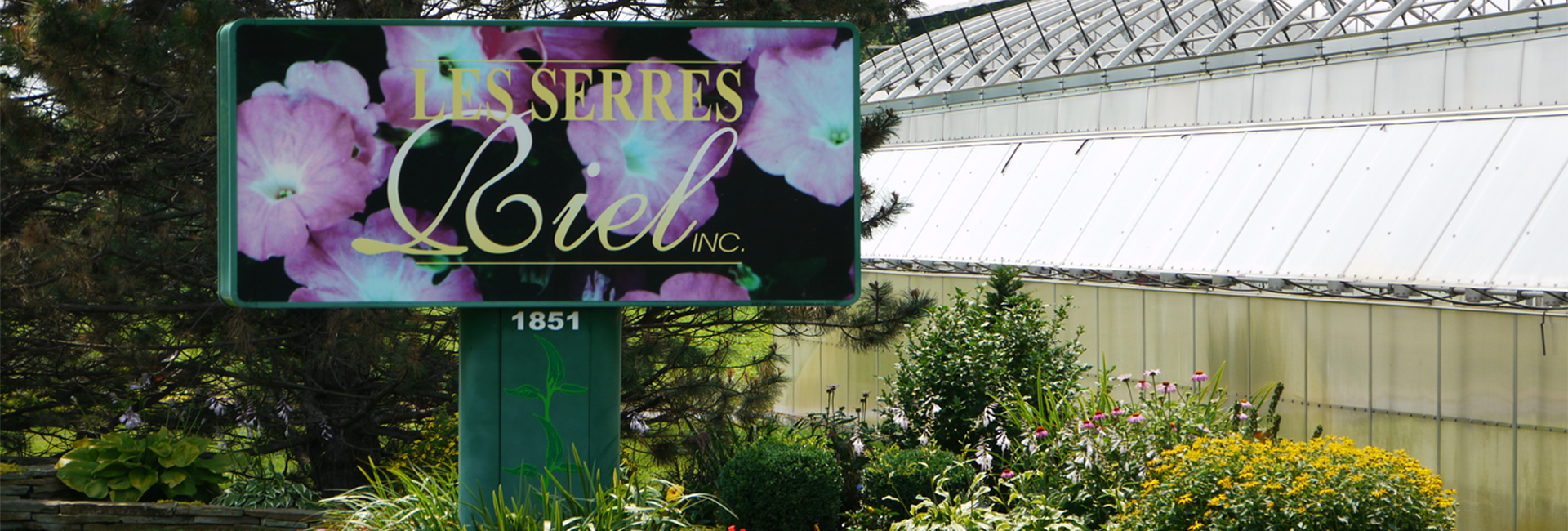 Serres Riel St-Rémi