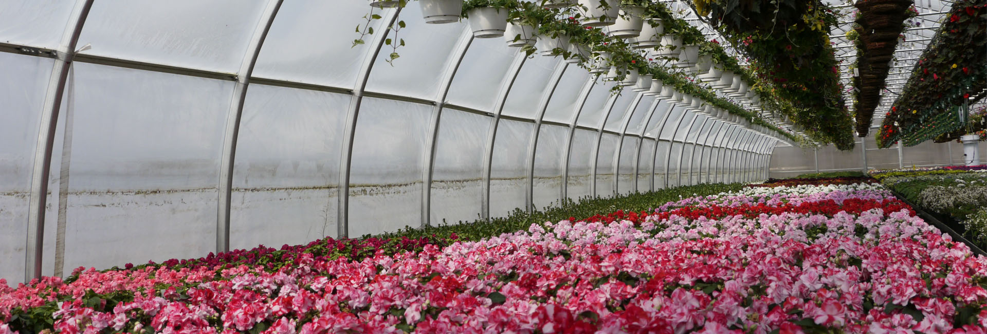 Entreprise Serres Riel