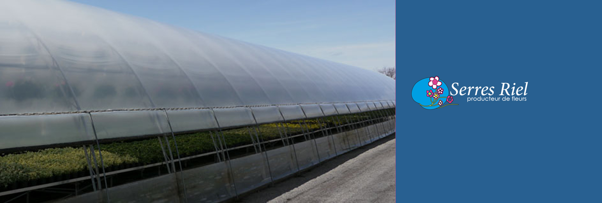 Entreprise Serres Riel